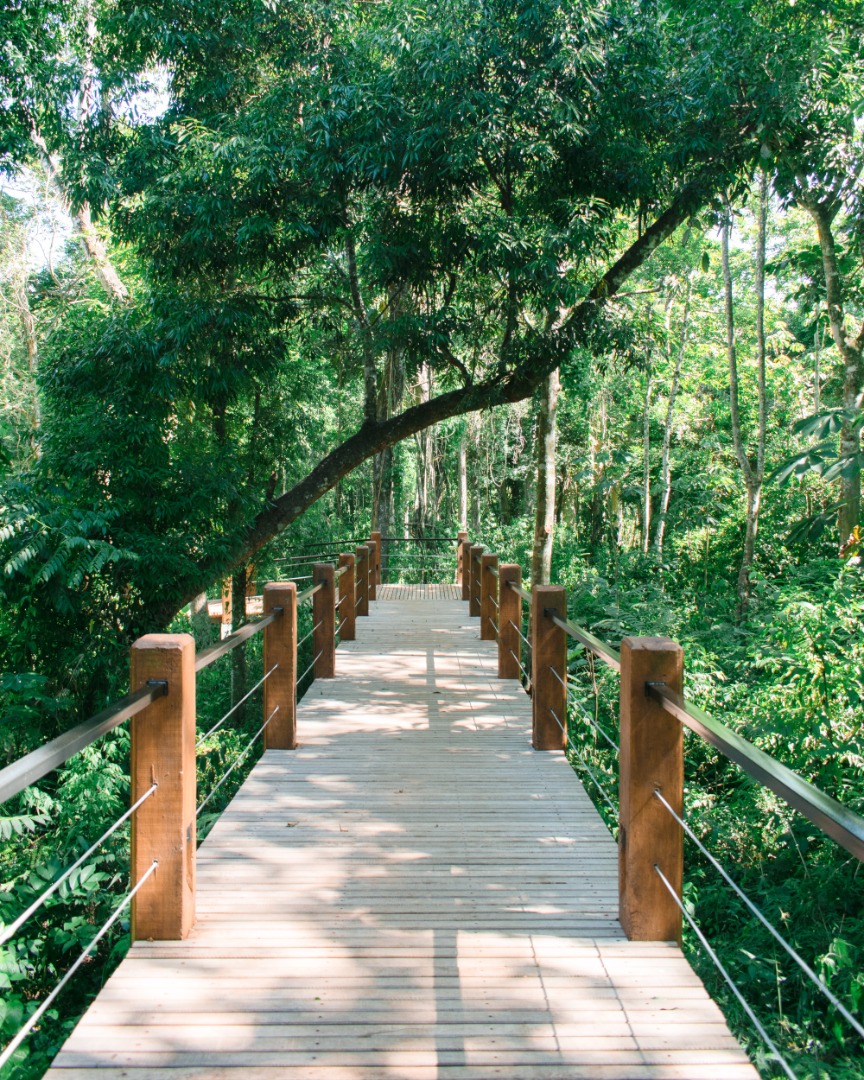 Sendero en la selva del lodge
